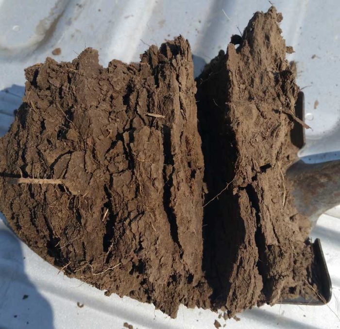 Diamond t Ag Guidelines to the DTA Program